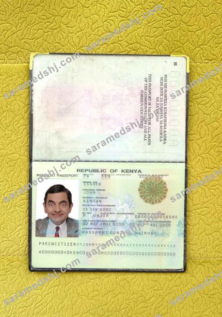 Kenya passport (2011-2019) photo look